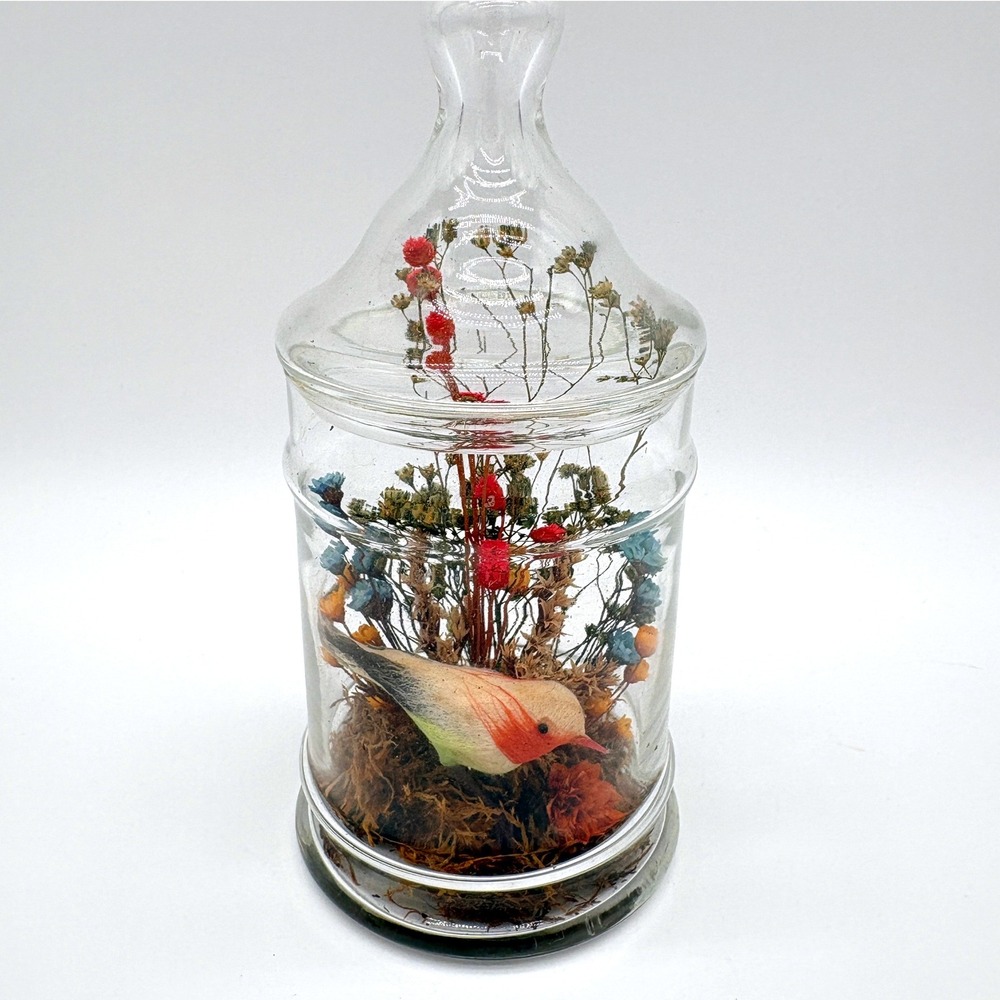 Vintage Glass Apothecary Jar Dried Flower Bird Cloche Nature Decor Terrarium